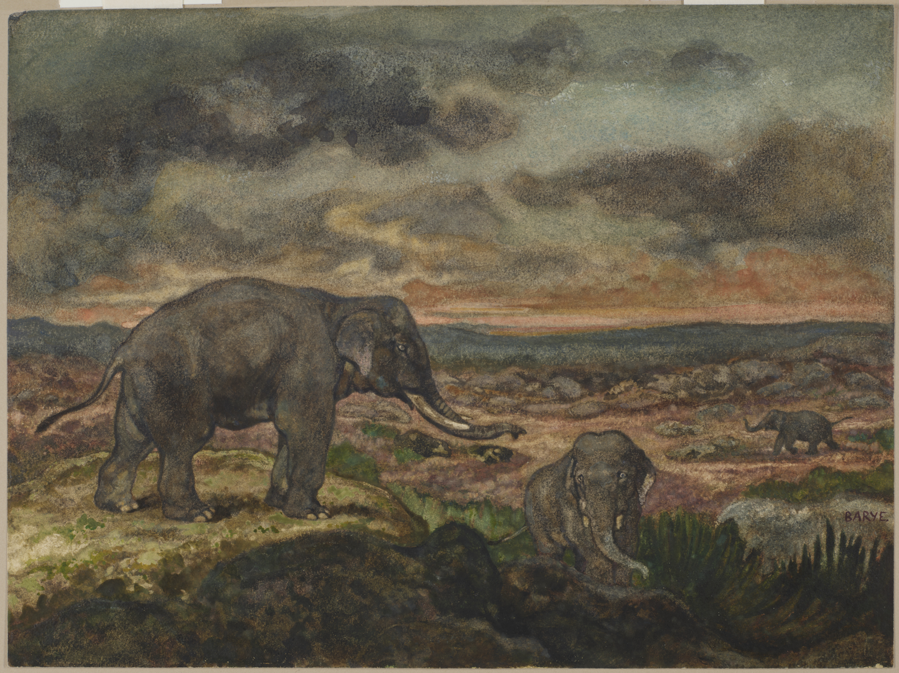 Image for Elephants